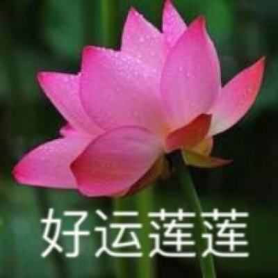 vr摩托手游下载